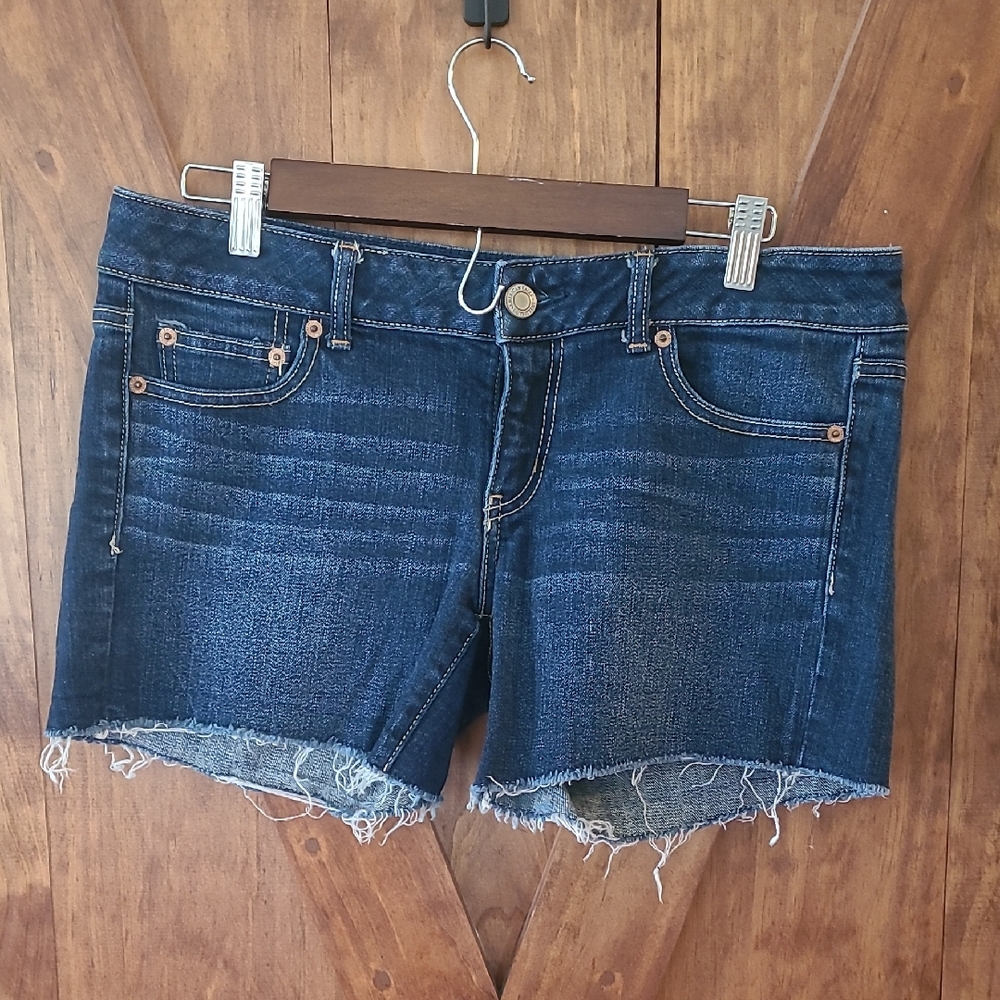 American Eagle Outfitters Blue Stretch Denim Shorts